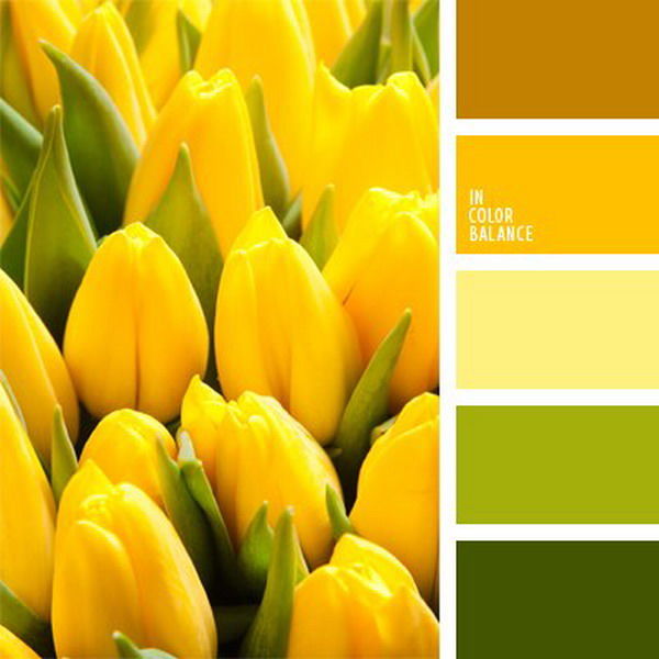 Лёгкая естественная желтая палитра в цветах - ваше вдохновение для дизайна кухни