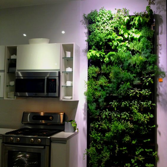 Панель с вертикальным садом на кухне